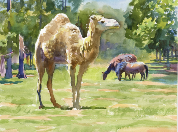 McClain Safari Camel